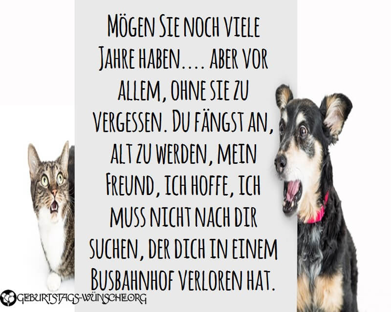 lustige glückwünsche zum geburtstag