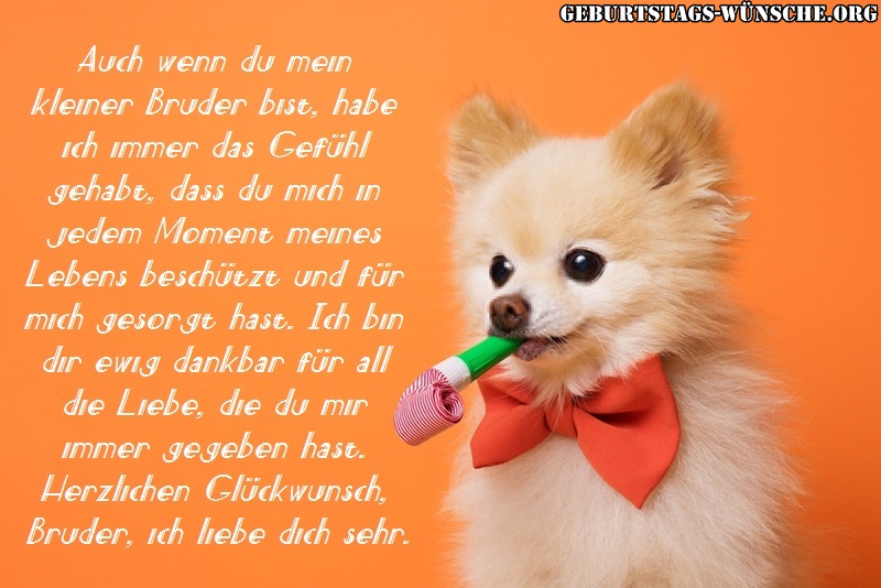 Schöne Geburtstagssprüche Für Bruder