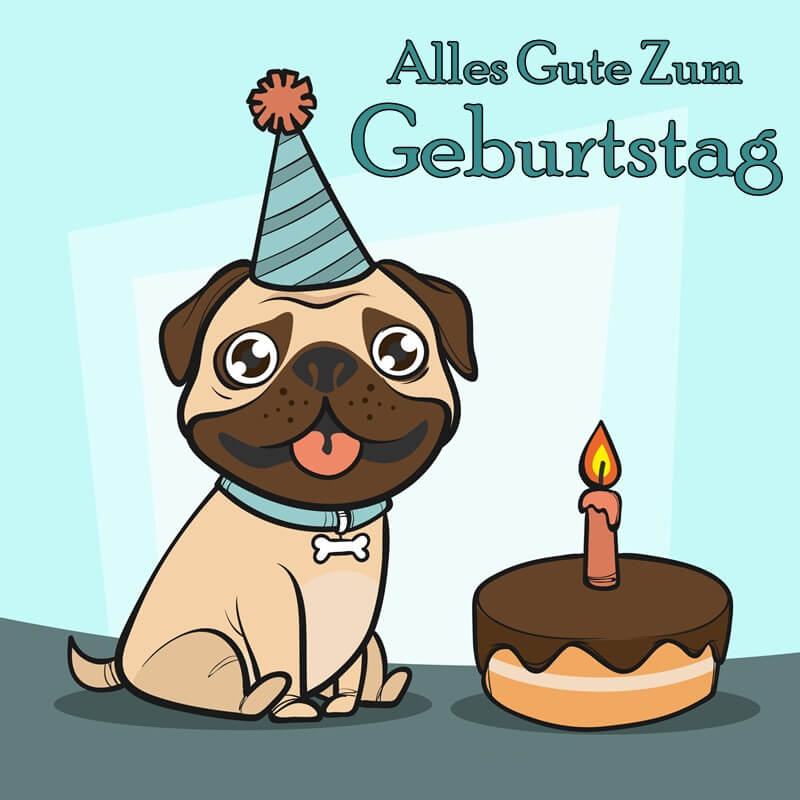 Witzige Bilder Zum Geburtstag